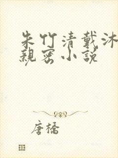 朱竹清戴沐白的亲密小说