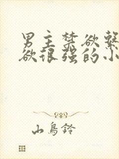 男主禁欲系占有欲很强的小说