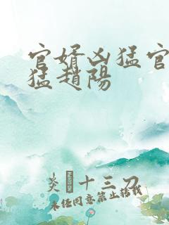 官婿凶猛官婿凶猛赵阳