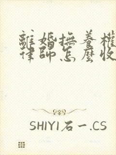 离婚抚养权诉讼律师怎么收费