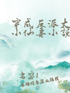 穿成反派大佬的小仙妻小说免费阅读