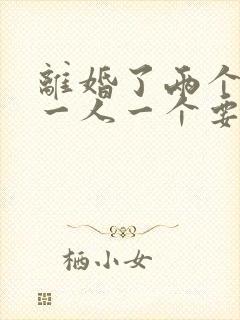 离婚了两个小孩一人一个要给抚养费吗