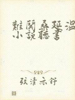 难哄桑延温以凡小说听书