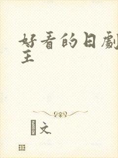 好看的日剧双男主