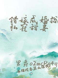 错嫁成婚总裁的私宠甜妻