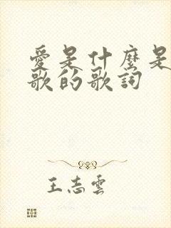 爱是什么是哪首歌的歌词