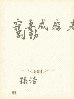 宠妻成瘾 老公 别动