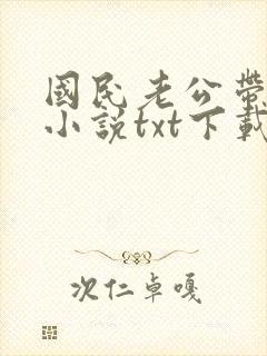 国民老公带回家小说txt下载