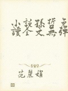 小说孙哲免费阅读全文无弹窗