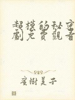 超模的秘密电视剧免费观看全集