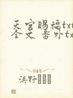 天官赐福txt全文 番外txt下载