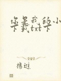 你是我的小确幸下载txt下