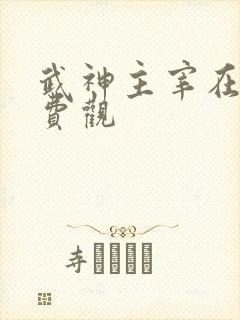 武神主宰在线免费观
