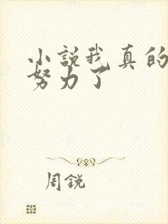 小说我真的不想努力了