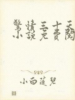 惊情三十天后续小说免费阅读