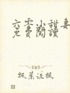 六零小甜妻全文免费阅读