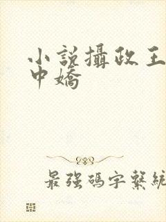 小说摄政王的掌中娇