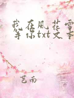我在风花雪月里等你txt文本
