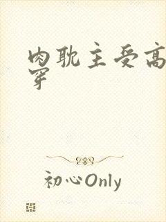 肉耽主受高h快穿