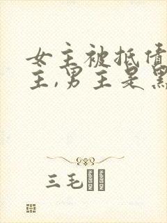 女主被抵债给男主,男主是黑道,女主年