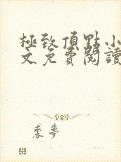 极致顶点小说全文免费阅读最新章节