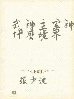 武神主宰神帝是什么境界