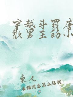 穿越斗罗唐三喜欢男主的小说