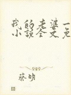 我的老婆一打七小说全文免费阅读