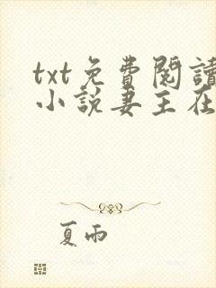 txt免费阅读小说妻主在上
