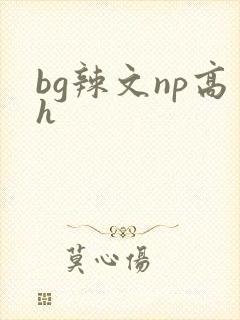 bg辣文np高h