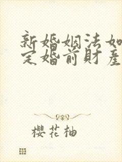 新婚姻法如何界定婚前财产