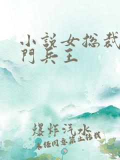 小说女总裁的上门兵王