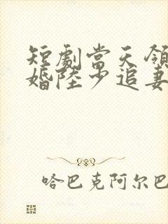 短剧当天领证闪婚陆少追妻忙全集免费观看