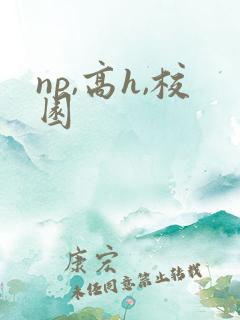 np,高h,校园