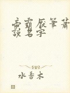 帝霸厌笔萧生小说名字