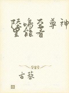 陆鸣至尊神殿哪里能看