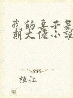 我的妻子是大乘期大佬小说版