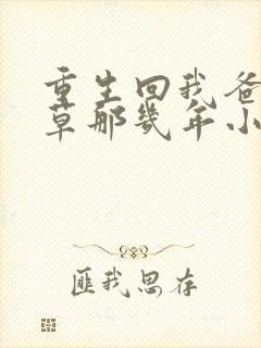 重生回我爸当校草那几年小说txt