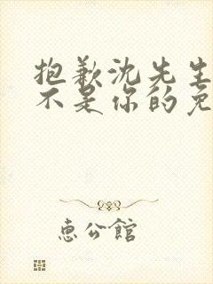 抱歉沈先生孩子不是你的免费完结短剧