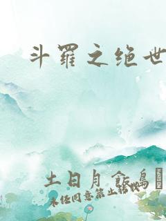 斗罗之绝世狂龙