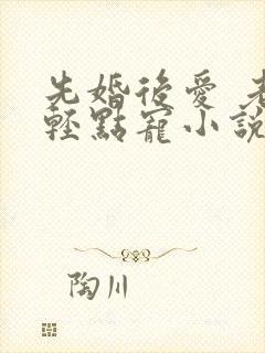 先婚后爱 老公轻点宠小说