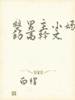 双男主小妈文学的高干文