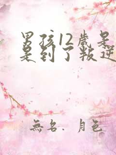 男孩12岁是不是到了叛逆期