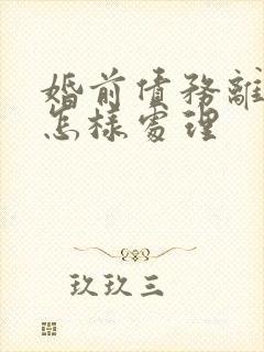 婚前债务离婚后怎样处理