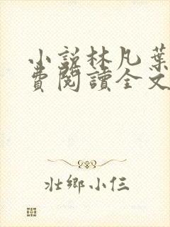 小说林凡叶惜免费阅读全文最新章节