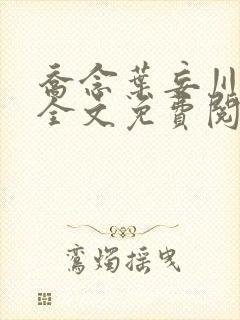 乔念叶妄川小说全文免费阅读