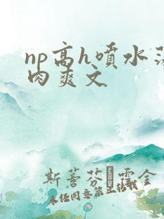 np高h喷水荡肉爽文