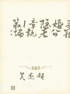 第1章隐婚蜜爱:偏执老公宠上瘾