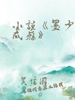 小说《墨少宠妻成瘾》