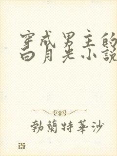 穿成男主的炮灰白月光小说